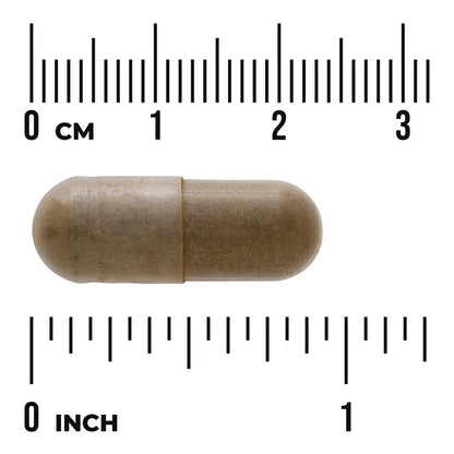Swanson- Gotu Kola 435mg  Mejora Circulacion 60 Capsulas