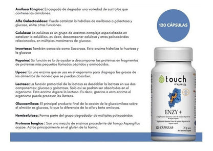 Touch Of Sinergy - Enzimas Digestivas, Enzy + 120 Capsulas