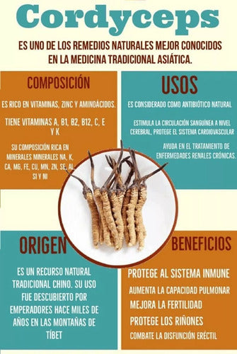 Fungi Pharma- Extracto De Hongo Cordyceps 30 ml