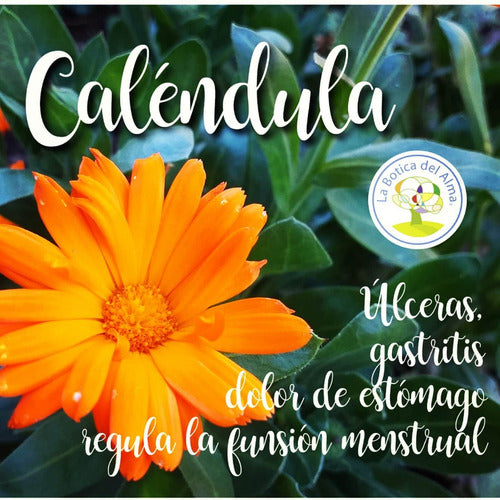  La Botica Del Alma - Mix Ulcera Infusion Medicinal 20 Grs