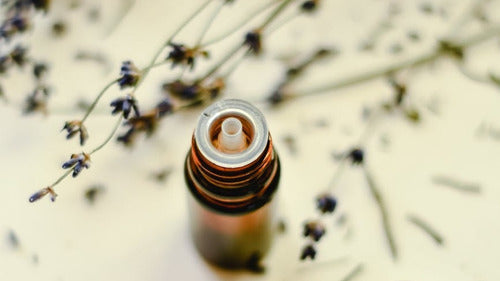 Aceite Esencial Now Lavanda 30ml