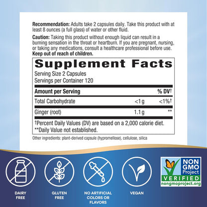 Nature Way - Raíz Jengibre Tradicional Salud 1,100mg 240caps