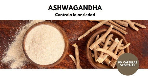 Touch Of Sinergy - Ashwagandha ( 90 Cápsulas Vegetales) 