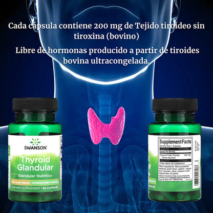 Swanson Tiroides Glandular 200 Mg 60 Capsulas Sabor Sin Sabor