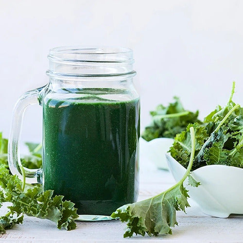 Spirulina Raw 600 G Polvo 100% Orgánico Aquasolar