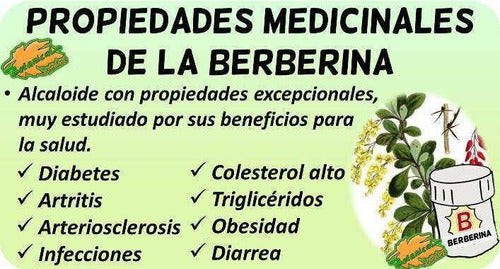Muscle Care - Berberina 90 Tableta 500mg