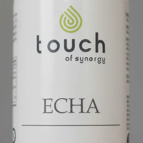 Touch Of Synergy- Echinacea 90 Cápsulas N/a