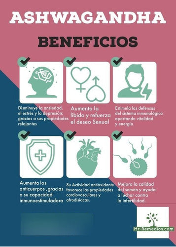 Proactive- Ashwagandha 450 Miligramos 120 Cápsulas