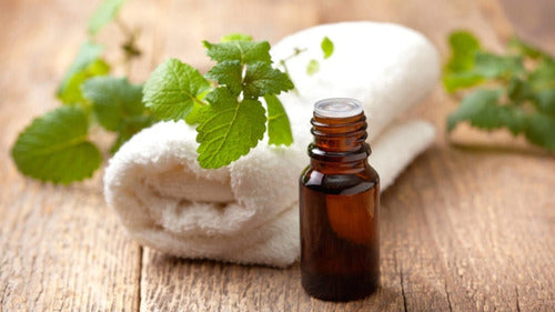 Aceite Esencial Menta - 30 Ml