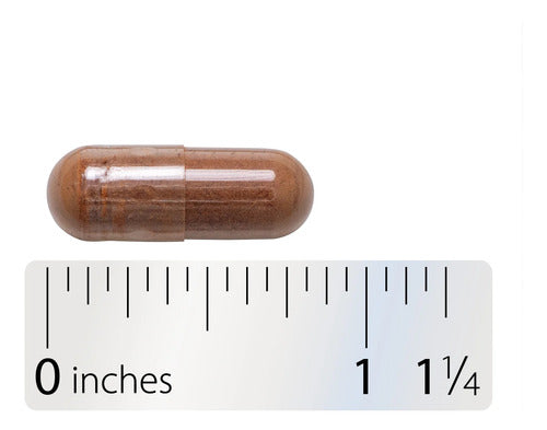 Natures Way - Extracto De Canela 60 Capsulas N/a
