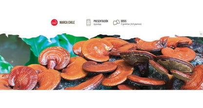 Newpharma - Reishi Mushroom Gummies 60 Gomitas