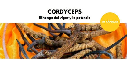 Touch Of Sinergy - Cordyceps 90 Capsulas