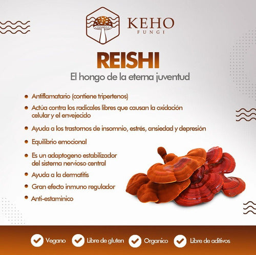 Keho Fungi- Reishi Concentrado 990 Miligramos 30 Cápsulas