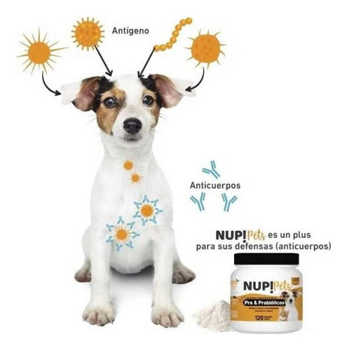 Mascotas Pre Y  Probioticos Para Perro Y Gato
