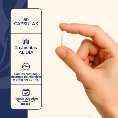  Karun Life- Citrato De Magnesio Y Potasio 60 Cápsulas