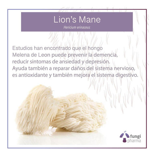 Fungi Pharma- Melena De León 30ml