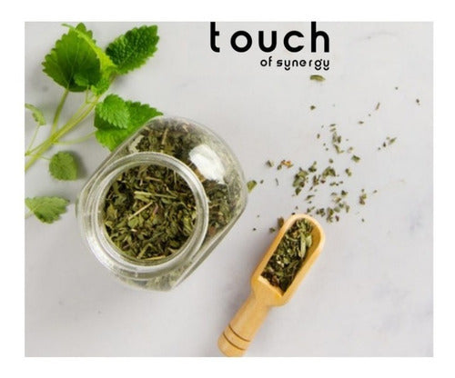 Touch Of Sinergy - Cordyceps 90 Capsulas