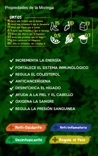 Konun - Infusión Moringa Menta 28 Bolsita