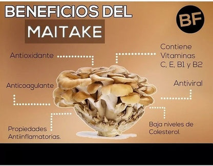 Fungi Pharma- Extracto De Hongo Maitake 30 ml