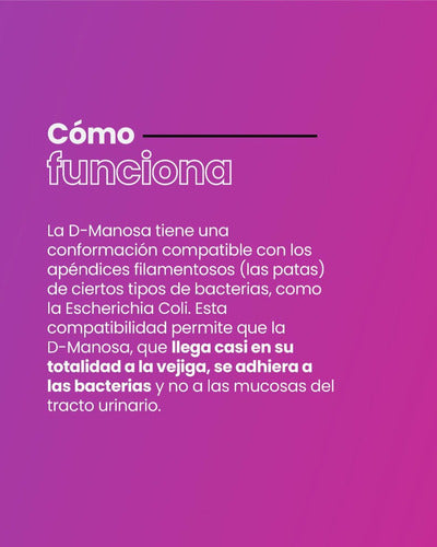Ortomolecular - D-manosa + Cranberry + Probióticos-90 Cápsulas