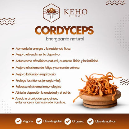 Keho Fungi- Cordyceps Concentrado 990 Miligramos 30 Cápsulas