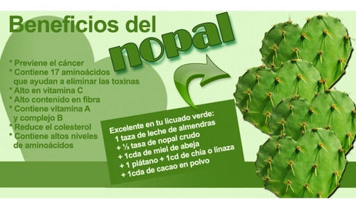 Natures Sunshine - Nopal (100 Caps)