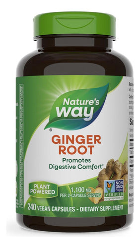 Nature Way - Raíz Jengibre Tradicional Salud 1,100mg 240caps