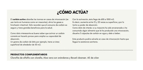 Touch Of Synergy - Carbón Vegetal Activo - 90 Cápsulas 