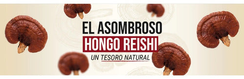Newpharma - Reishi Sublingual 30 Ml