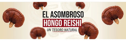 Newpharma - Reishi Sublingual 30 Ml