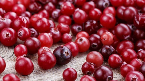 Newscience Vitamin Up Cranberry 60 Comprimidos