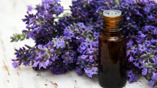 Aceite Esencial Now Lavanda 30ml