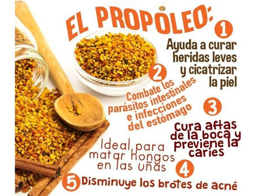 ANC- Propóleo 60 Cápsulas Blandas