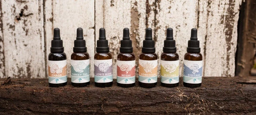 Fungi Pharma- Extracto De Hongo Chaga 30 ml