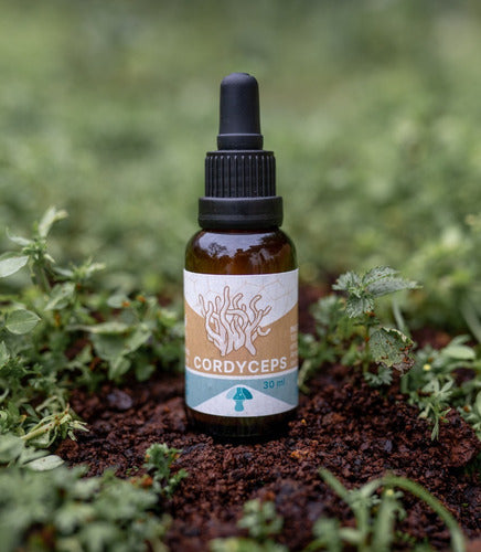Fungi Pharma- Extracto De Hongo Cordyceps 30 ml