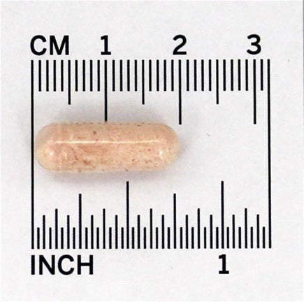 Gaba 500mg 100 Cápsulas Vegetarianas