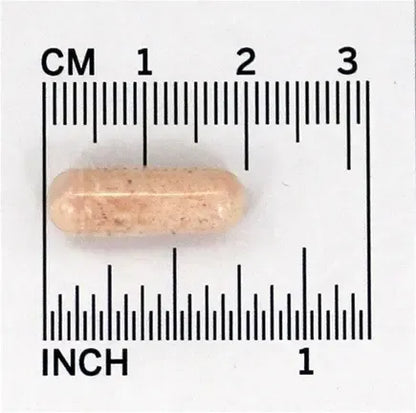 Now Probiotico - 10 Cepa 25 Billones