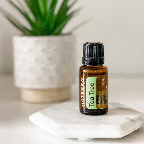Doterra - Aceite Esencial Arbol De Té 15 Ml (tea Tree)