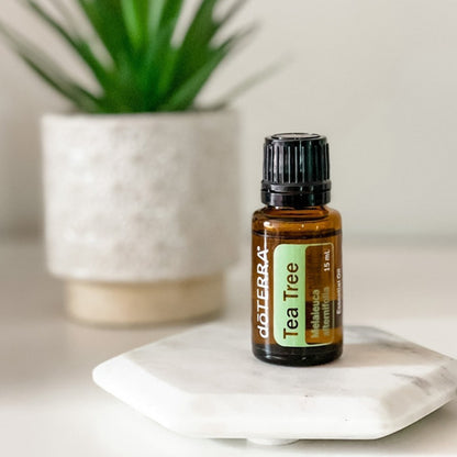 Doterra - Aceite Esencial Arbol De Té 15 Ml (tea Tree)