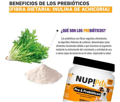 Nup! Pets- Suplemento Pre & Probióticos perro y gato Sabor a Carne 120gramos