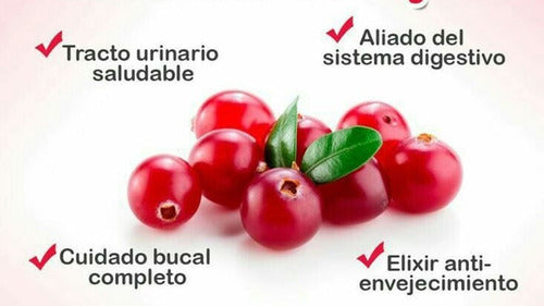 Newscience Vitamin Up Cranberry 60 Comprimidos