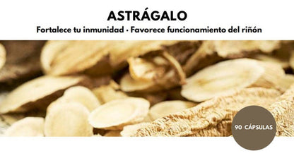Astrágalo Touch Of Synergy (90 Veg Caps) Sabor Neutro