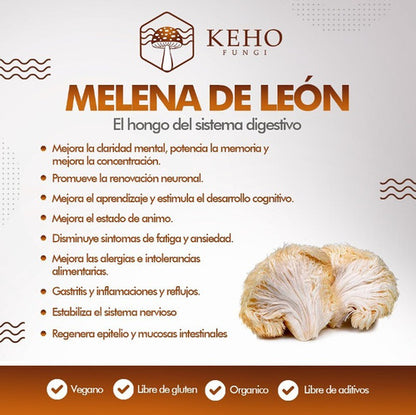 Keho Fungi- Melena De León Concentrado 90 Gramos