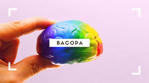 Realpharm- Bacopa 250mg (memoria, Atención, Estres)  90 Capsulas