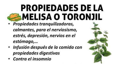 Noctiol  En Estuche Con 30 Cápsulas