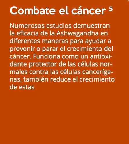 Polvo De Raíz Orgánico Ashwagandha - Ayurvedic 200g Sabor Sin Sabor