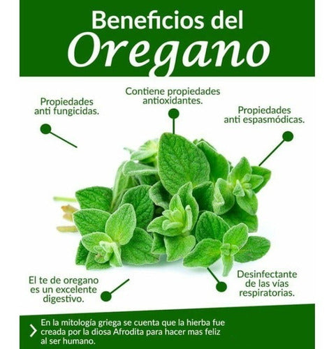 Aceite De Orégano En Capsulas Now X90 Unidades