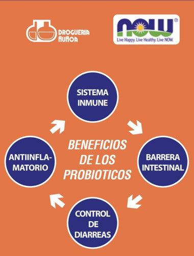 Probiotico 10 Cepas 100 Billones Ufc -flora Intestinos Sanos