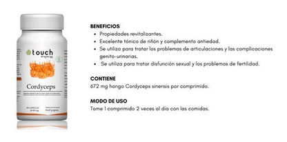 Touch Of Sinergy - Cordyceps 90 Capsulas