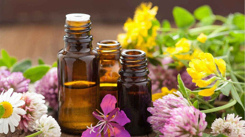 Aceites Esenciales Now Formato 10ml
